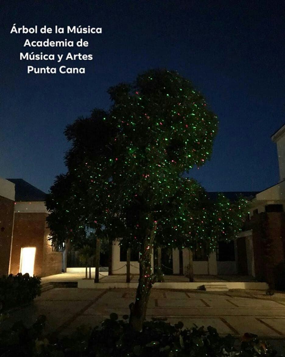 Día del Músico: nace el Árbol de la Música