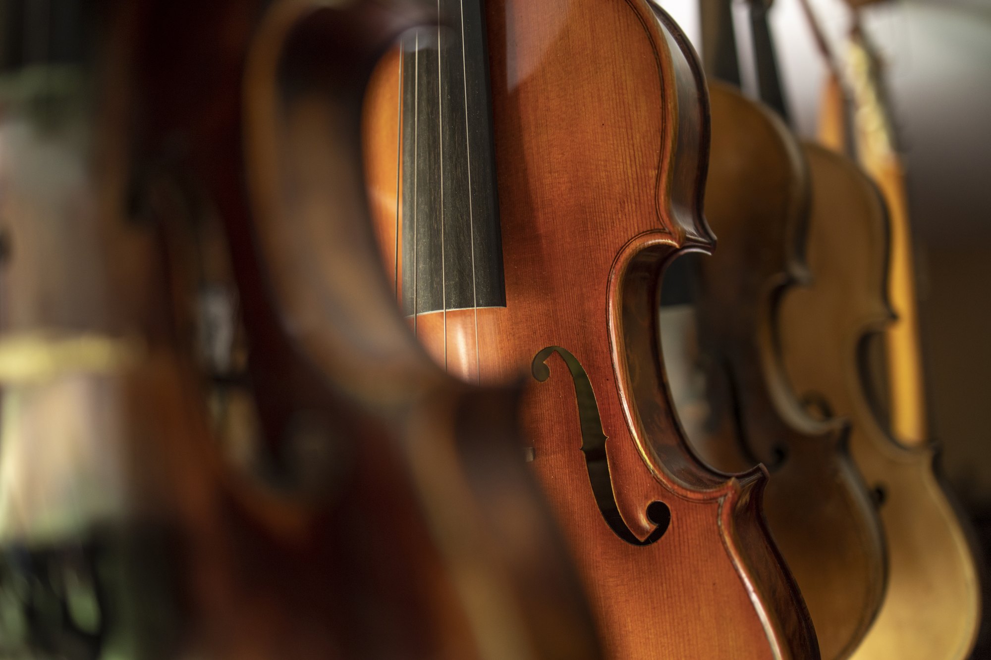 La Camerata, al Concurso Nacional de Conjuntos Musicales